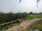 Sonargaon 2 Plot View 1
