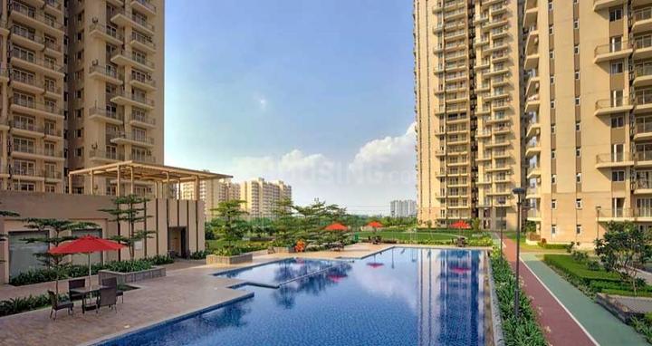 Conscient Heritage Max Main Image 1