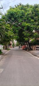 Image of 3050 Sq.ft Residential Plot / Land for sale in Adambakkam, Chennai for Rs. 54000000