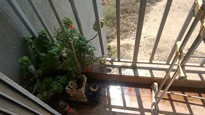 Balcony Image of 560 Sq.ft 1 BHK Apartment / Flat for sale in Vihang Vermont, Thane West Thane for Rs. 7000000