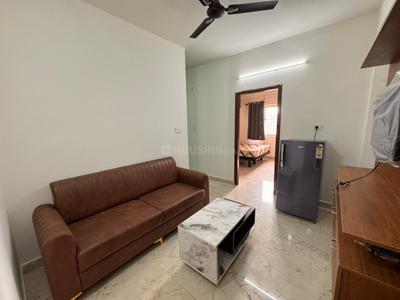 Hall Image of 750 Sq.ft 1 BHK Apartment / Flat for rent in Whitefield Bengaluru for Rs. 25999