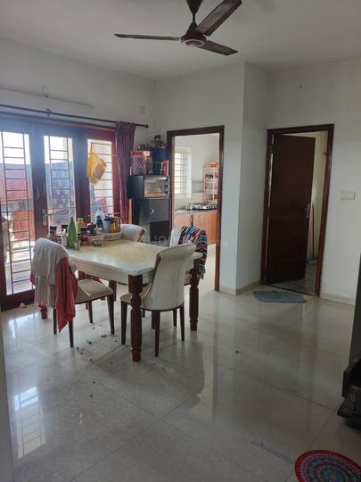 Mayflower Caladium Main Image 1