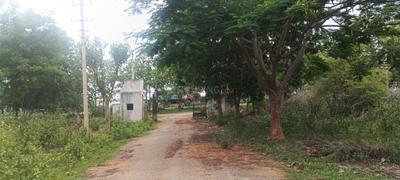 Residential Plot