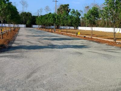 Dakamari Plot View 2