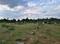 Pandur, Kumuzhi R.F. Main Image 1
