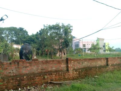 Image of 1440 Sq.ft Residential Plot / Land for sale in Vriddhi Fresco Fountain City, Sankharipota, Raypur for Rs. 600005