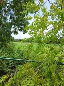 Image of 139109 Sq.ft Residential Plot / Land for sale in Ambale, Purandhar, Pune for Rs. 1200000000