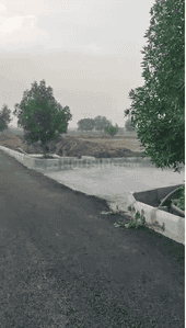 Residential Plot