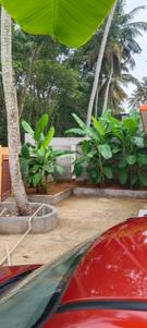 Image of 435 Sq.ft 2 BHK Independent House for sale in Parassala, Thiruvananthapuram for Rs. 2300000
