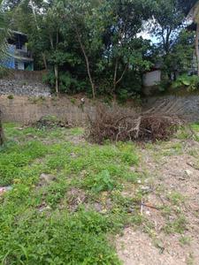 Chottanikkara Plot View 2
