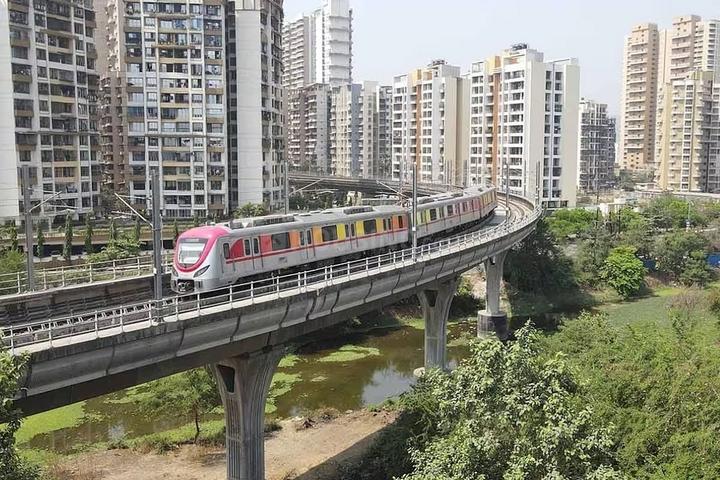 Paradise Sai Pearls Main Image 1