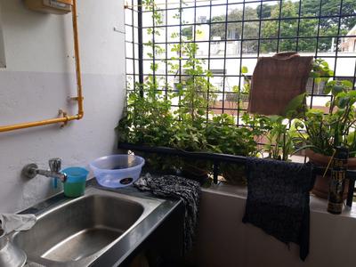 Drying Area Image of 1120 Sq.ft 2 BHK Apartment / Flat for sale in Sri bhagwan arcade, RMV Extension Stage 2 Bengaluru for Rs. 12500000