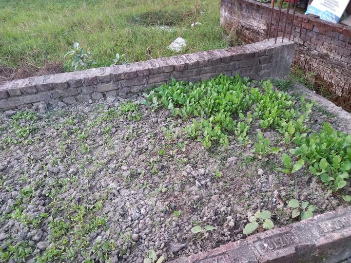 Bratachari Gram, Joka Main Image 1