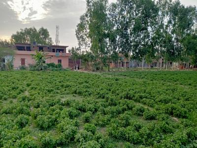 Image of 3400 Sq.ft Residential Plot / Land for sale in C.B.Ganj, Bareilly for Rs. 900000