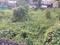 Keralarealty Plot View 2