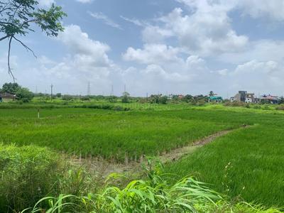 Image of 1089 Sq.ft Residential Plot / Land for sale in Bori Bk, Navi Mumbai for Rs. 500000