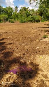 Image of 3872 Sq.ft Residential Plot / Land for sale in Kumbakonam, Thanjavur for Rs. 12196800