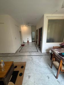 Living Room Image of 1165 Sq.ft 1 BHK Apartment / Flat for rent in Beta II Greater Noida for Rs. 22000