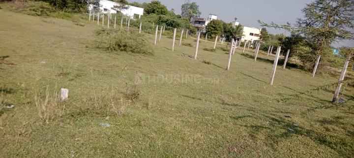 Ayyangarkulam Main Image 1