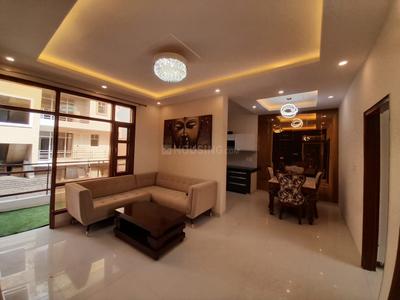 Hall Image of 900 Sq.ft 2 BHK Builder Floor for sale in Motia Royal Fame, Sector 117 Mohali for Rs. 5000000
