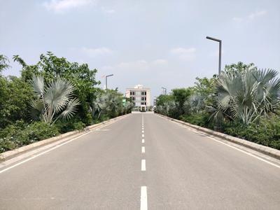 Amolik Aster Woods Internal Roads 1