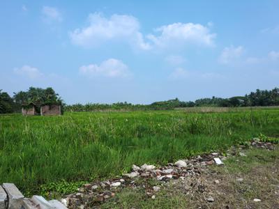 Image of 2160 Sq.ft Residential Plot / Land for sale in Natures Paradise, Joka, Kolkata for Rs. 675000