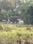 Horawala Main Image 1
