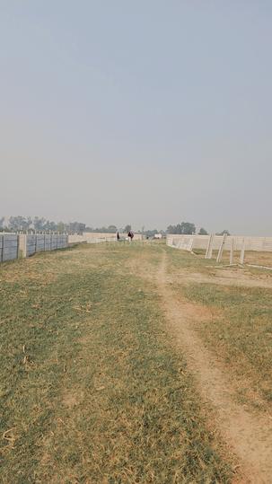 Residential plot in jewar Main Image 1