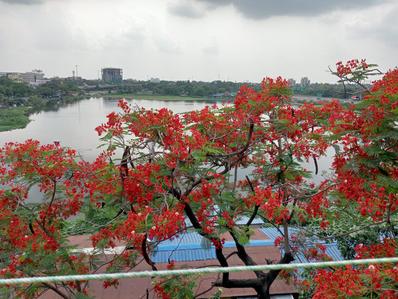 Image of 900 Sq.ft 2 BHK Builder Floor for rent in Baranagar, Kolkata for Rs. 15000