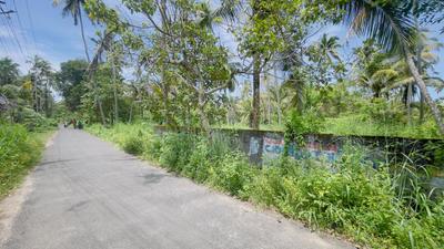 North Paravoor Plot View 3