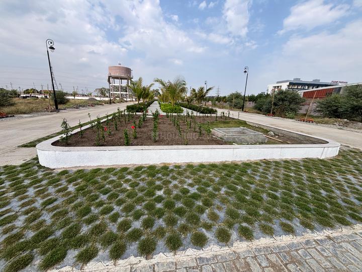 Tirumala gold Main Image 1