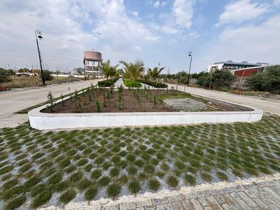 Tirumala gold Plot View 1