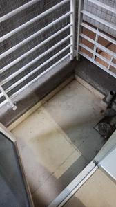 Balcony Image of 1150 Sq.ft 2 BHK Apartment / Flat for rent in Amanora Aspire Towers, Hadapsar Pune for Rs. 42000
