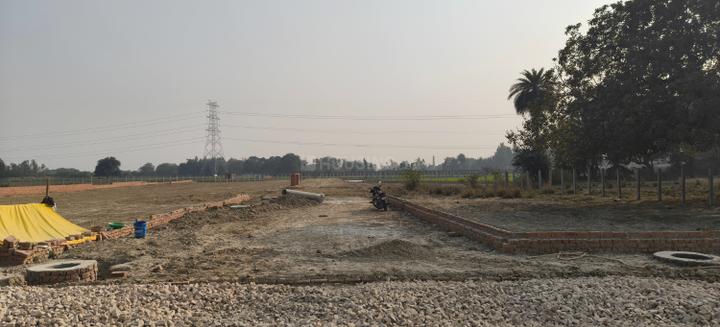 Gaura Main Image 1