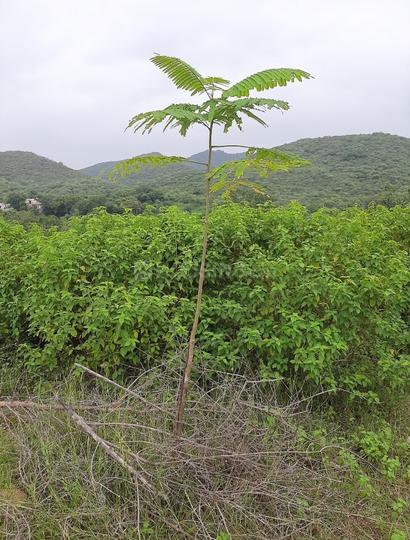 Titrdi, Sector 9 Main Image 1