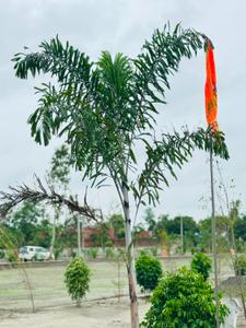 Image of 1500 Sq.ft 1 RK Independent House for sale in Mohanlalganj, Lucknow for Rs. 1600000