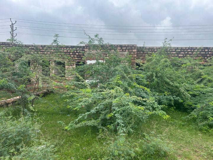 Bhadasiya Aganva road Main Image 1