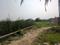 Sonargaon 2 Plot View 2