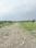 SHIVALIK HILLS Plot View 2