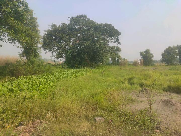 Dream City Kolkata Main Image 1