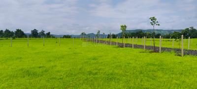 Image of 11111 Sq.ft Residential Plot / Land for sale in Shahapur, Thane for Rs. 2739000
