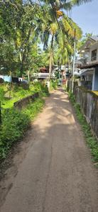 Nadakkave Plot View 2