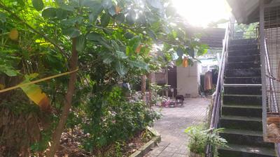 Image of 850 Sq.ft 3 BHK Independent House for sale in South Chittoor, Kochi for Rs. 6900000