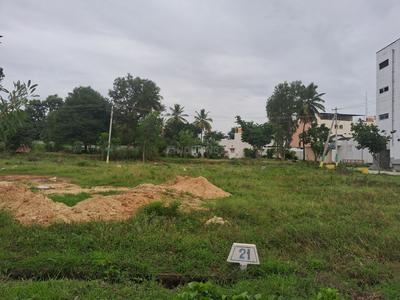 Residential Plot