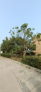 Residential Plot