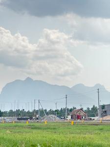 Image of 1192 Sq.ft Residential Plot / Land for sale in Kovilpalayam, Coimbatore for Rs. 4076640