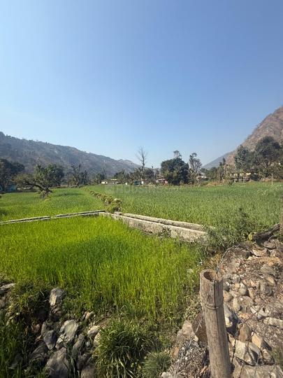 Maldevta Main Image 1