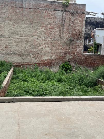 Chhapraula Main Image 1