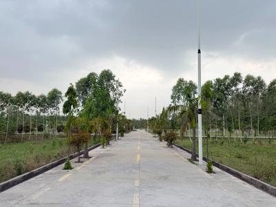 Residential Plot