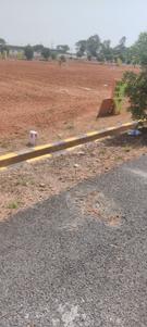 Image of 1980 Sq.ft Residential Plot / Land for sale in Bapatla Town, Bapatla for Rs. 3300000